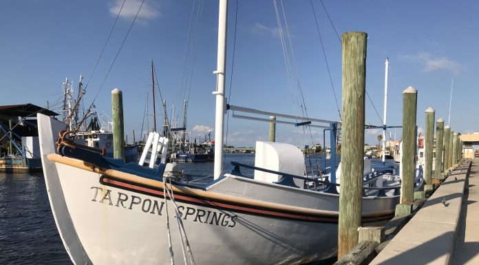 Tarpon Springs Requires No Special Event