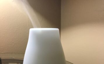 Diffuser Cleans and Freshens the Room