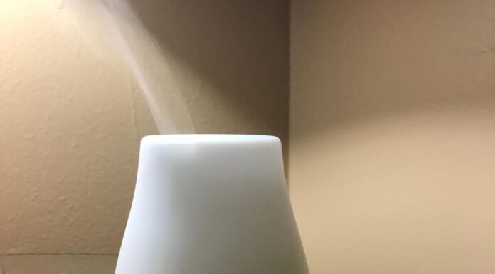 Diffuser Cleans and Freshens the Room