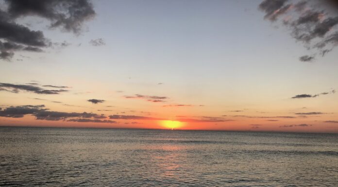 An Inaugural Visit to Sanibel