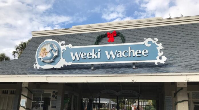 A Weeki Wachee Reprise
