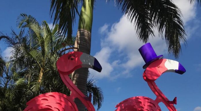 A Saturday in Sarasota