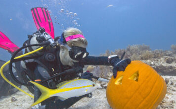 Underwater Pumpkin Carving – a Key West Favorite
