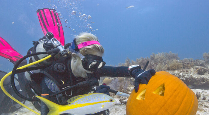 Underwater Pumpkin Carving – a Key West Favorite