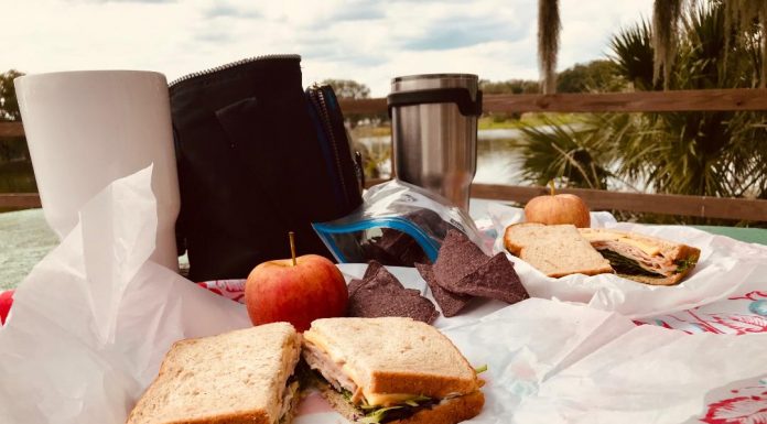 Having a Florida Picnic