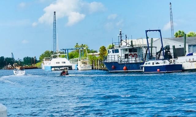 Dimitri’s on the Water – Great Greek in Tarpon Springs