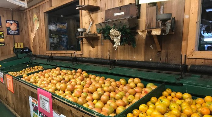 You Know Citrus Season is Here When the Oranges Arrive At Maxwell Groves
