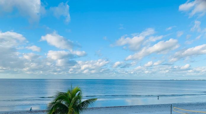 Happy New Year from Florida Fun Travel