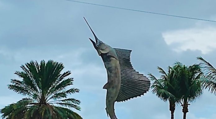 Stuart – Sailfish Capital of the World