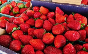 February is Fabulous Florida Strawberry Month