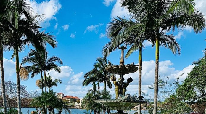 Lakeland’s Lake Mirror Park – A Tranquil Adventure