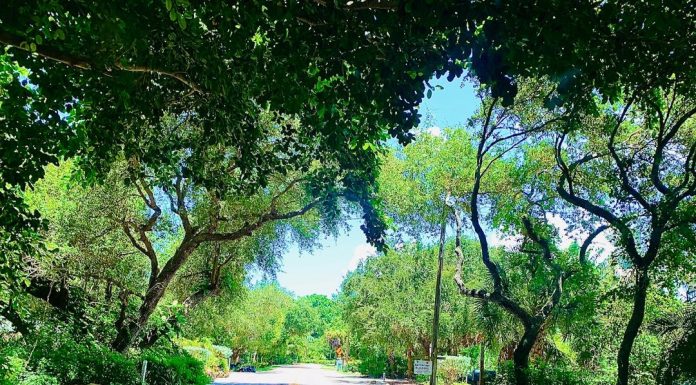 Social Distancing, Mental Health and Travel