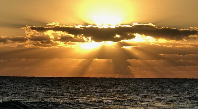 What We Love About Florida