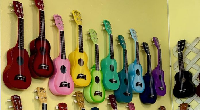 The Ukulele Place – It’s A One of a Kind