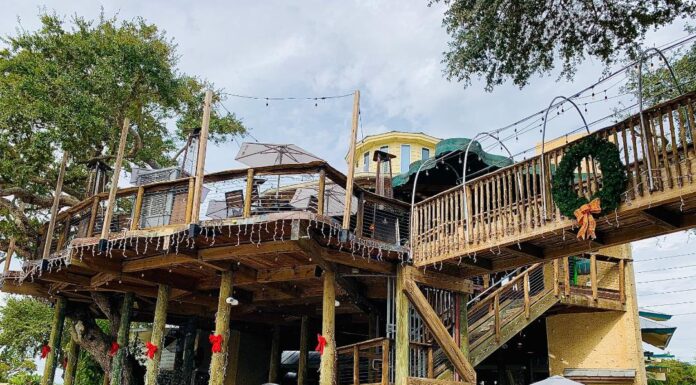 Dinner in the Treetops – Dining at Norwood’s