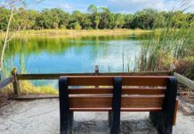 Oscar Scherer State Park