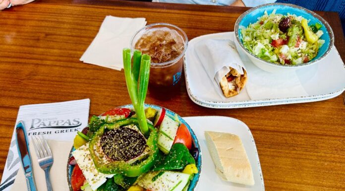 Pappas Fresh Greek – A Fun Find in Bradenton