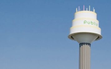 Why We Include Publix In Our Florida Travel Plans a photo of the Publix birthday cake shaped water tower.